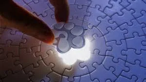 ارزدیجیتال PAWS